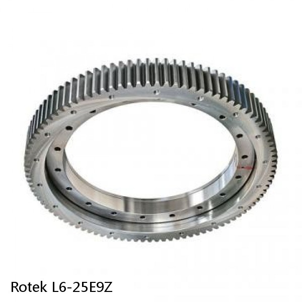 L6-25E9Z Rotek Slewing Ring Bearings