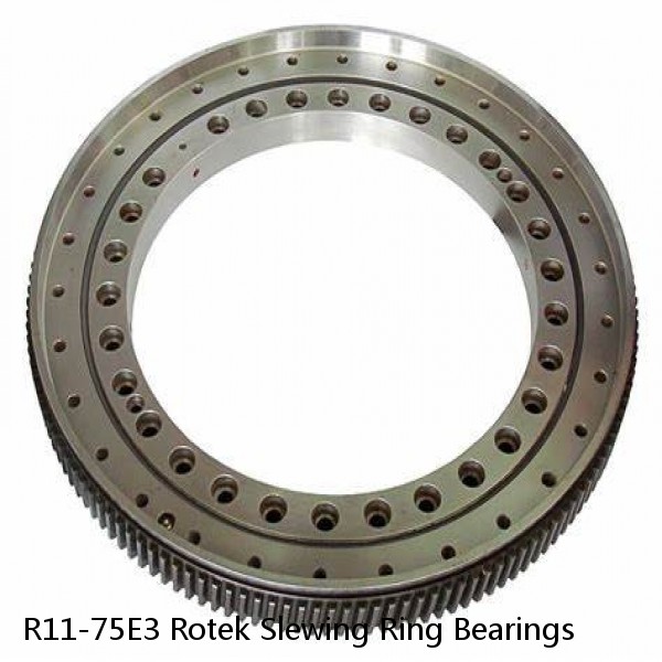R11-75E3 Rotek Slewing Ring Bearings