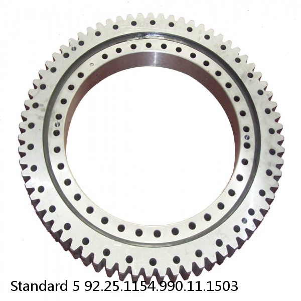 92.25.1154.990.11.1503 Standard 5 Slewing Ring Bearings