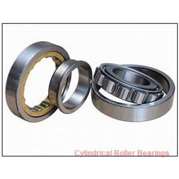 1.969 Inch | 50 Millimeter x 3.543 Inch | 90 Millimeter x 0.906 Inch | 23 Millimeter  CONSOLIDATED BEARING NU-2210E  Cylindrical Roller Bearings