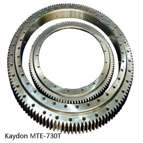 MTE-730T Kaydon Slewing Ring Bearings #1 small image