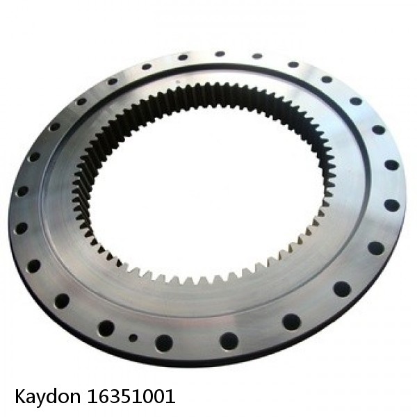 16351001 Kaydon Slewing Ring Bearings #1 small image