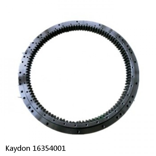 16354001 Kaydon Slewing Ring Bearings #1 small image