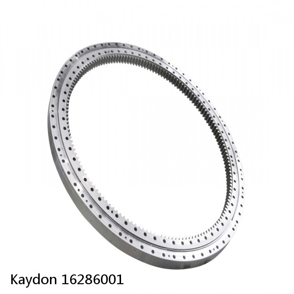 16286001 Kaydon Slewing Ring Bearings #1 small image