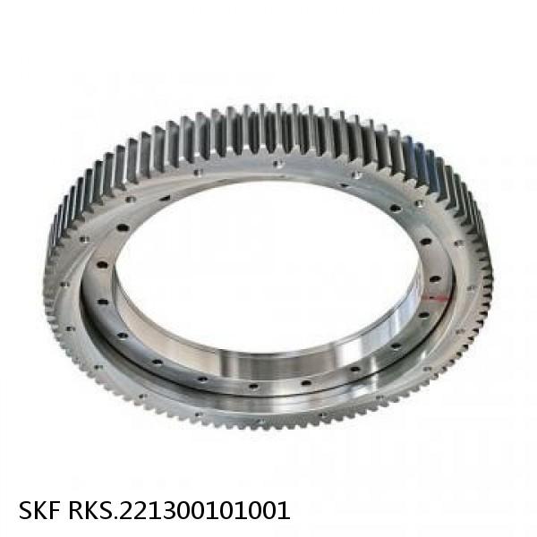 RKS.221300101001 SKF Slewing Ring Bearings