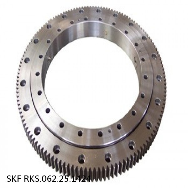 RKS.062.25.1424 SKF Slewing Ring Bearings #1 small image