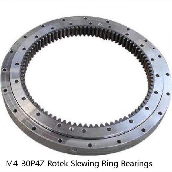 M4-30P4Z Rotek Slewing Ring Bearings #1 small image