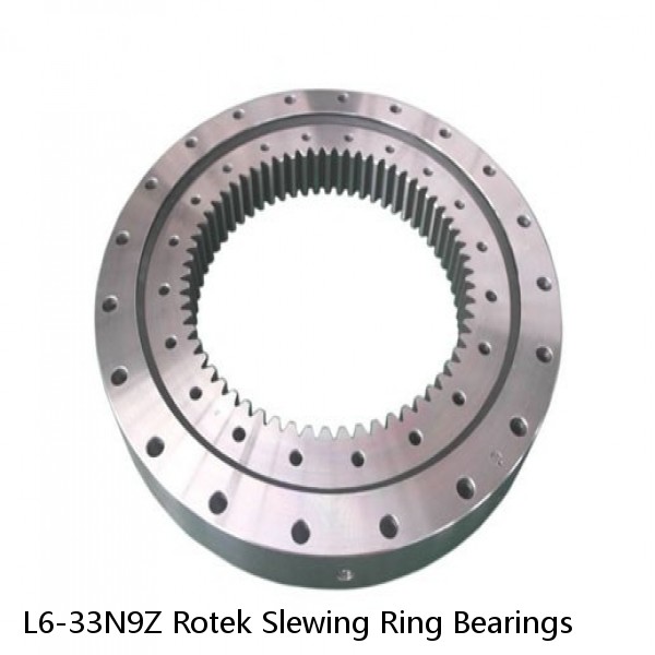 L6-33N9Z Rotek Slewing Ring Bearings #1 small image