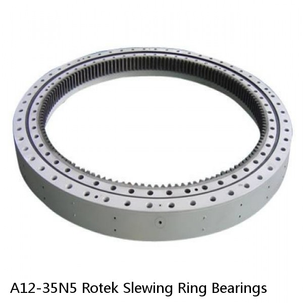 A12-35N5 Rotek Slewing Ring Bearings #1 small image