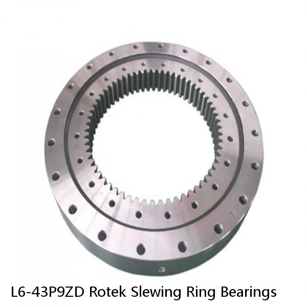 L6-43P9ZD Rotek Slewing Ring Bearings