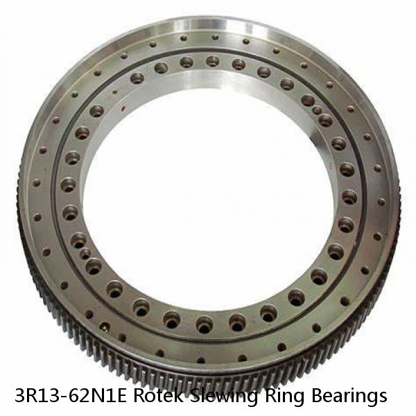 3R13-62N1E Rotek Slewing Ring Bearings