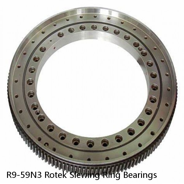 R9-59N3 Rotek Slewing Ring Bearings #1 small image