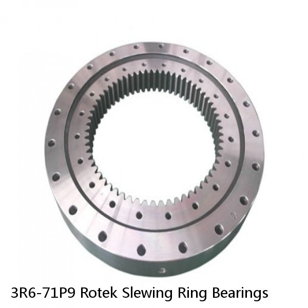 3R6-71P9 Rotek Slewing Ring Bearings