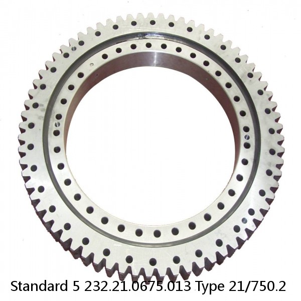 232.21.0675.013 Type 21/750.2 Standard 5 Slewing Ring Bearings #1 small image