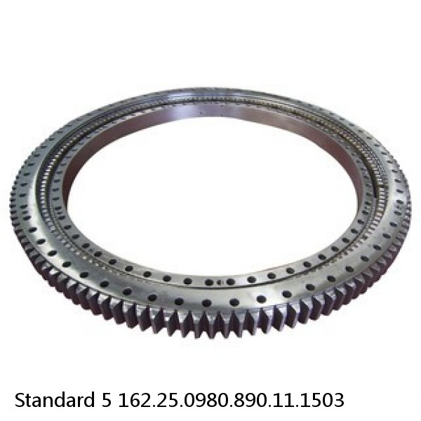 162.25.0980.890.11.1503 Standard 5 Slewing Ring Bearings #1 small image