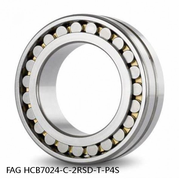 HCB7024-C-2RSD-T-P4S FAG high precision bearings #1 small image