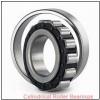 3.346 Inch | 85 Millimeter x 7.087 Inch | 180 Millimeter x 1.614 Inch | 41 Millimeter  CONSOLIDATED BEARING N-317  Cylindrical Roller Bearings