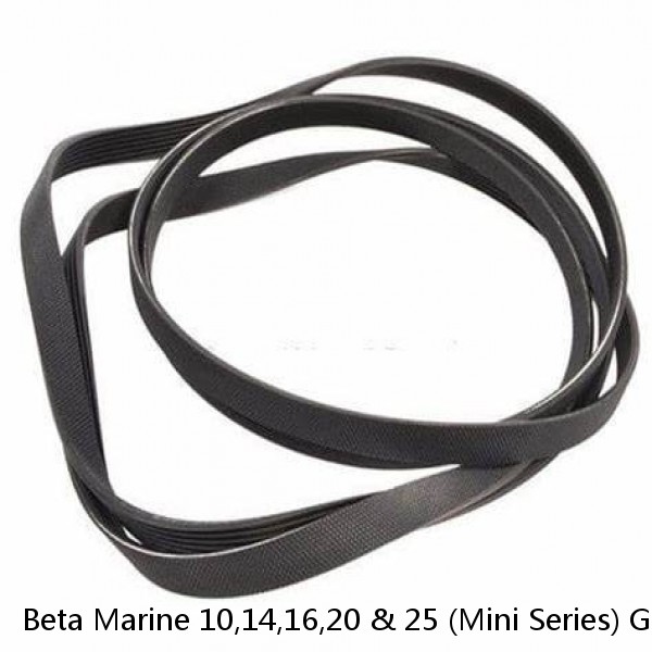 Beta Marine 10,14,16,20 & 25 (Mini Series) Genuine Service Kit & Poly Vee Belt #1 small image