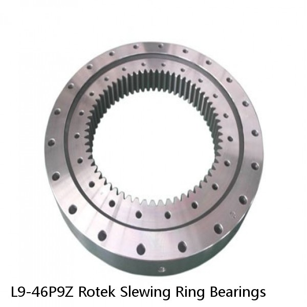 L9-46P9Z Rotek Slewing Ring Bearings #1 image