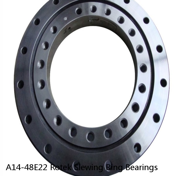 A14-48E22 Rotek Slewing Ring Bearings #1 image