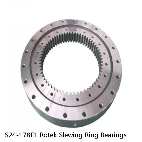 S24-178E1 Rotek Slewing Ring Bearings #1 image