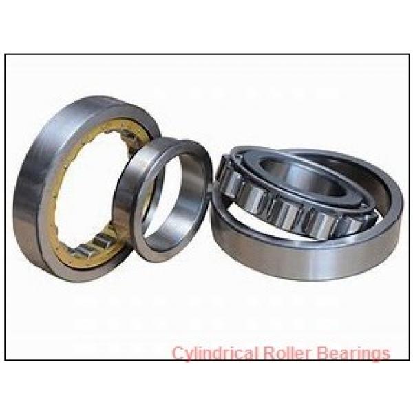 0.984 Inch | 25 Millimeter x 2.441 Inch | 62 Millimeter x 0.669 Inch | 17 Millimeter  CONSOLIDATED BEARING N-305  Cylindrical Roller Bearings #1 image