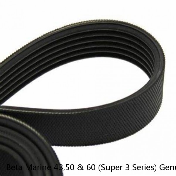 Beta Marine 43,50 & 60 (Super 3 Series) Genuine Service Kit & Poly Vee Belt #1 image